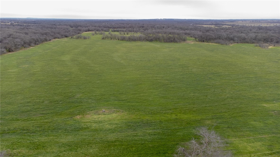 TBD Cr 623, Groesbeck, Texas image 14