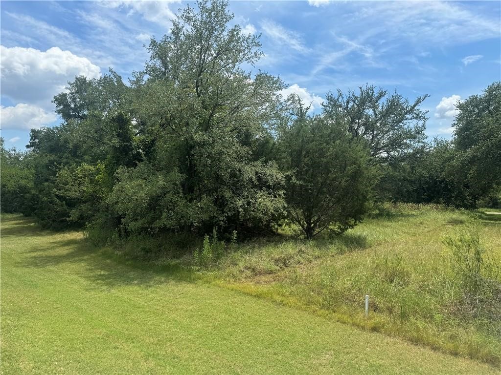 39115 Misty Ridge Drive, Whitney, Texas image 1