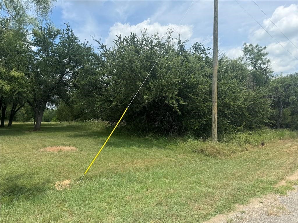 39115 Misty Ridge Drive, Whitney, Texas image 2