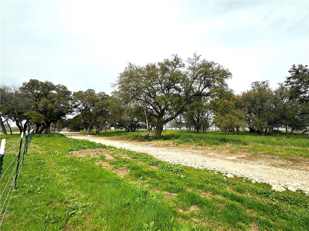 Sunset Ranch Tract 4 Cr 356 Road, Gatesville, Texas image 10