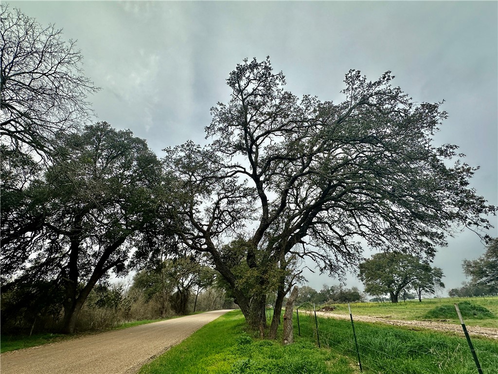 Sunset Ranch Tract 4 Cr 356 Road, Gatesville, Texas image 13