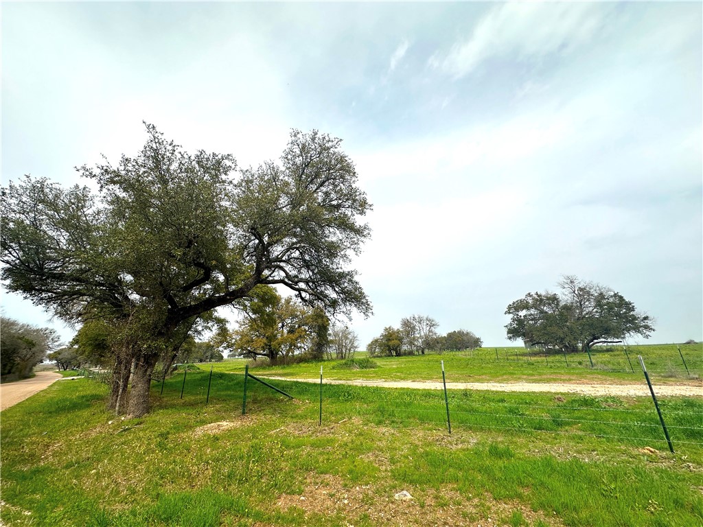 Sunset Ranch Tract 4 Cr 356 Road, Gatesville, Texas image 8