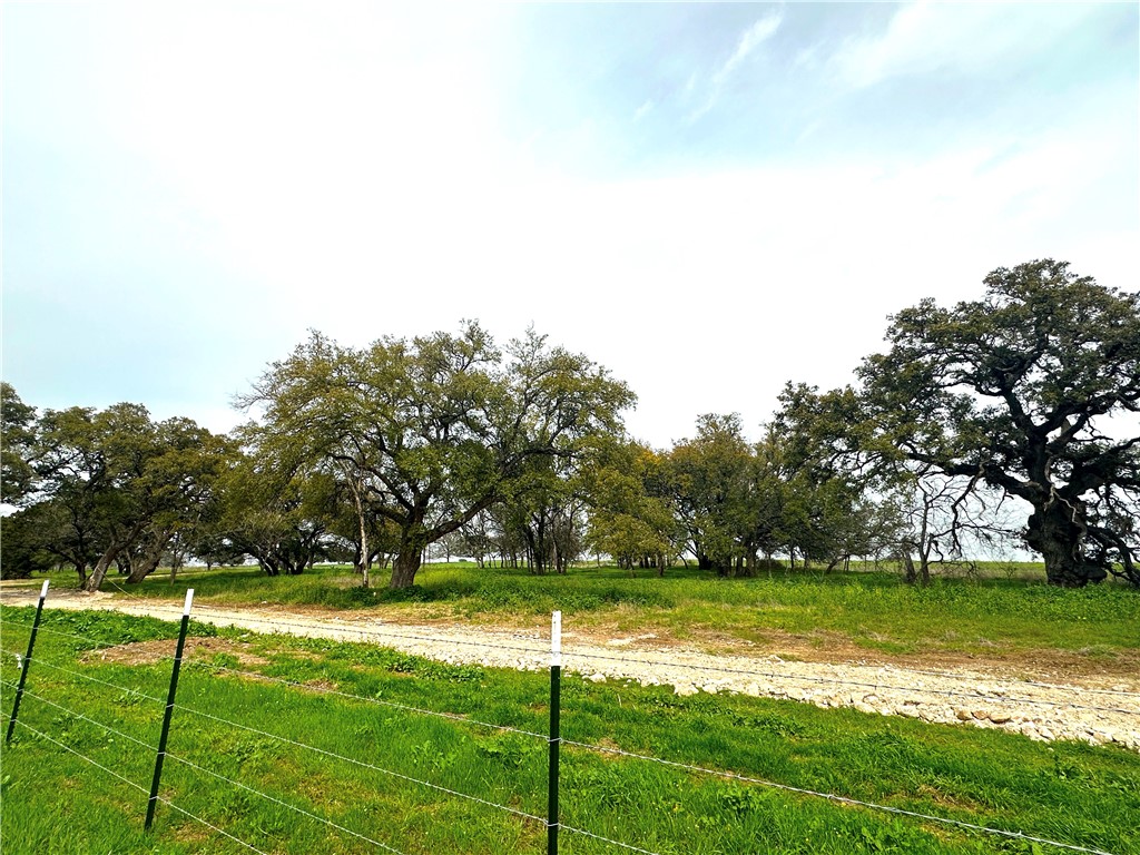 Sunset Ranch Tract 4 Cr 356 Road, Gatesville, Texas image 12