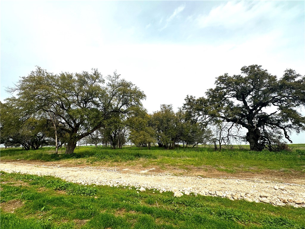 Sunset Ranch Tract 4 Cr 356 Road, Gatesville, Texas image 16