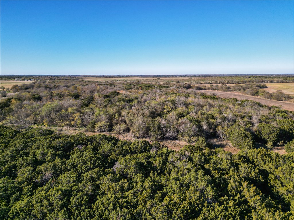 TBD Tract 4 Talbert Ranch Road, China Spring, Texas image 9