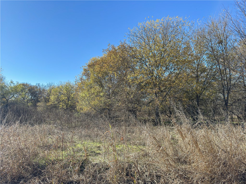 TBD Tract 4 Talbert Ranch Road, China Spring, Texas image 43