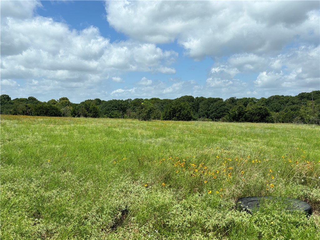 TBD Pr 485, Hillsboro, Texas image 8