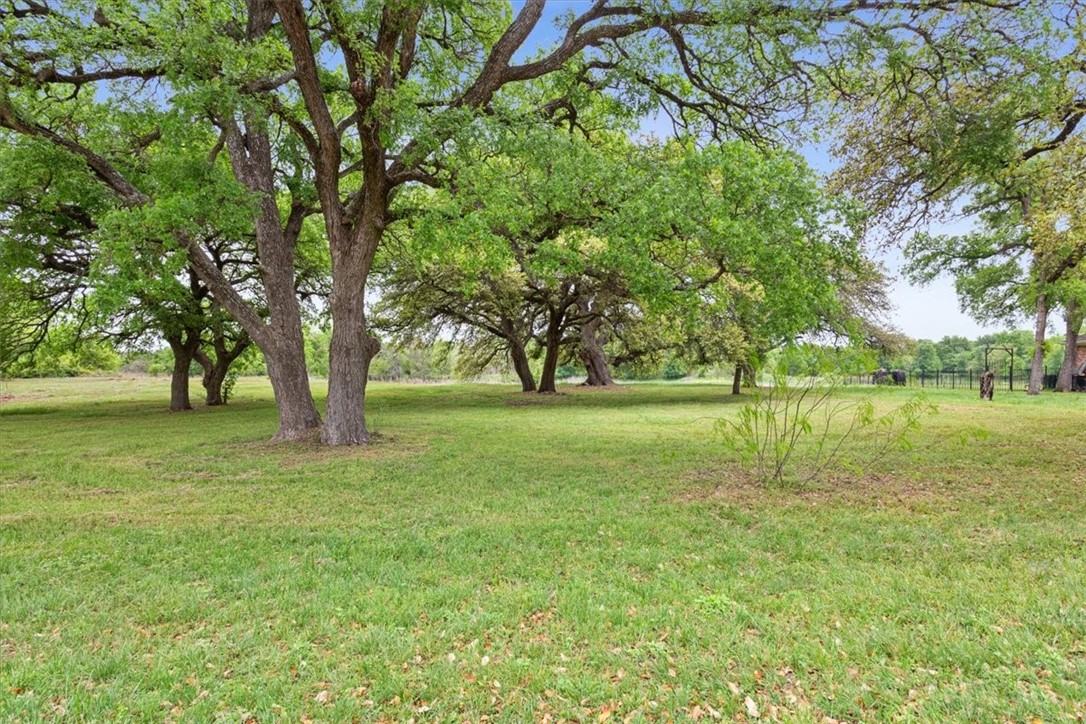 TBD Royal Court, Woodway, Texas image 13