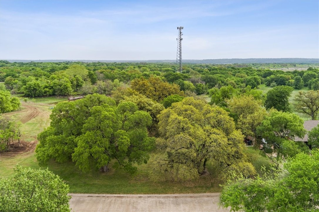 TBD Royal Court, Woodway, Texas image 11
