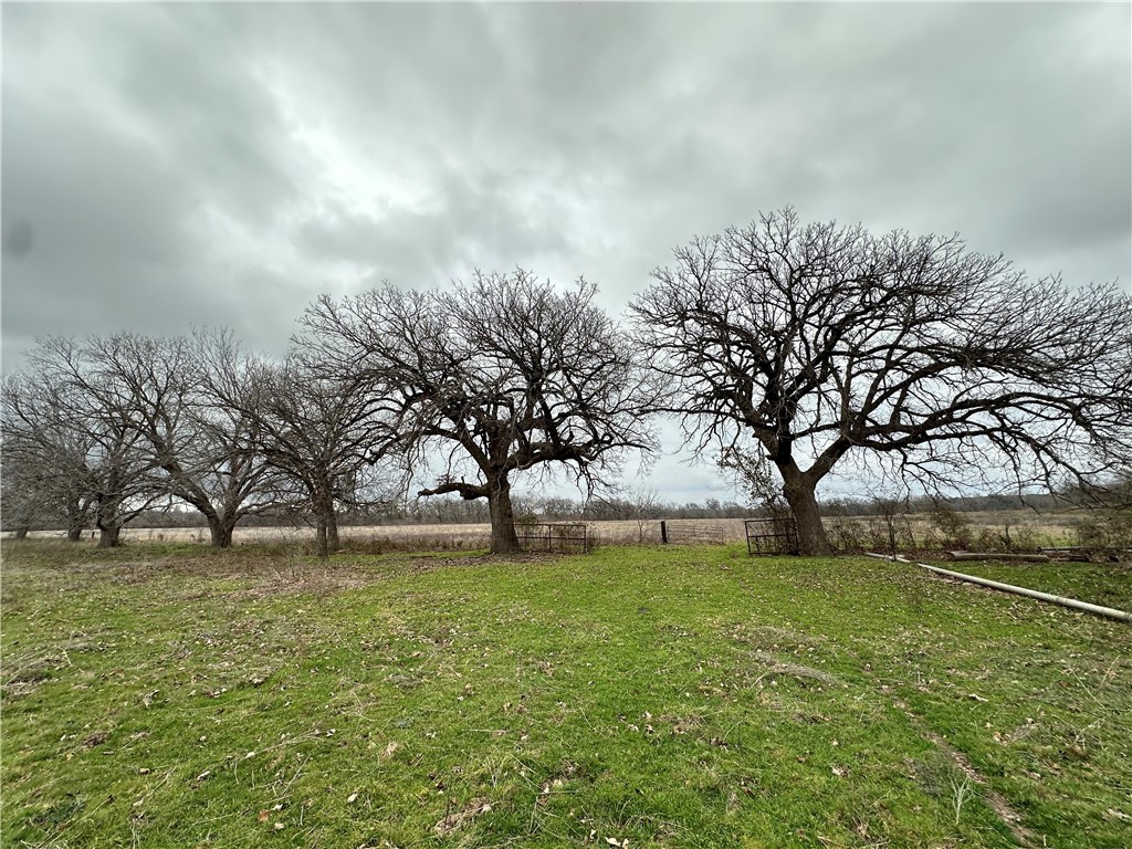 TBD Fm 931, Gatesville, Texas image 18