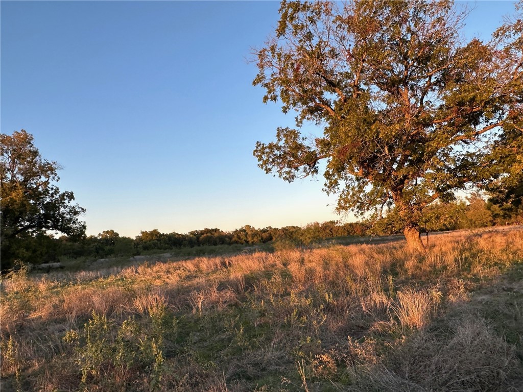 TBD Fm 931, Gatesville, Texas image 14