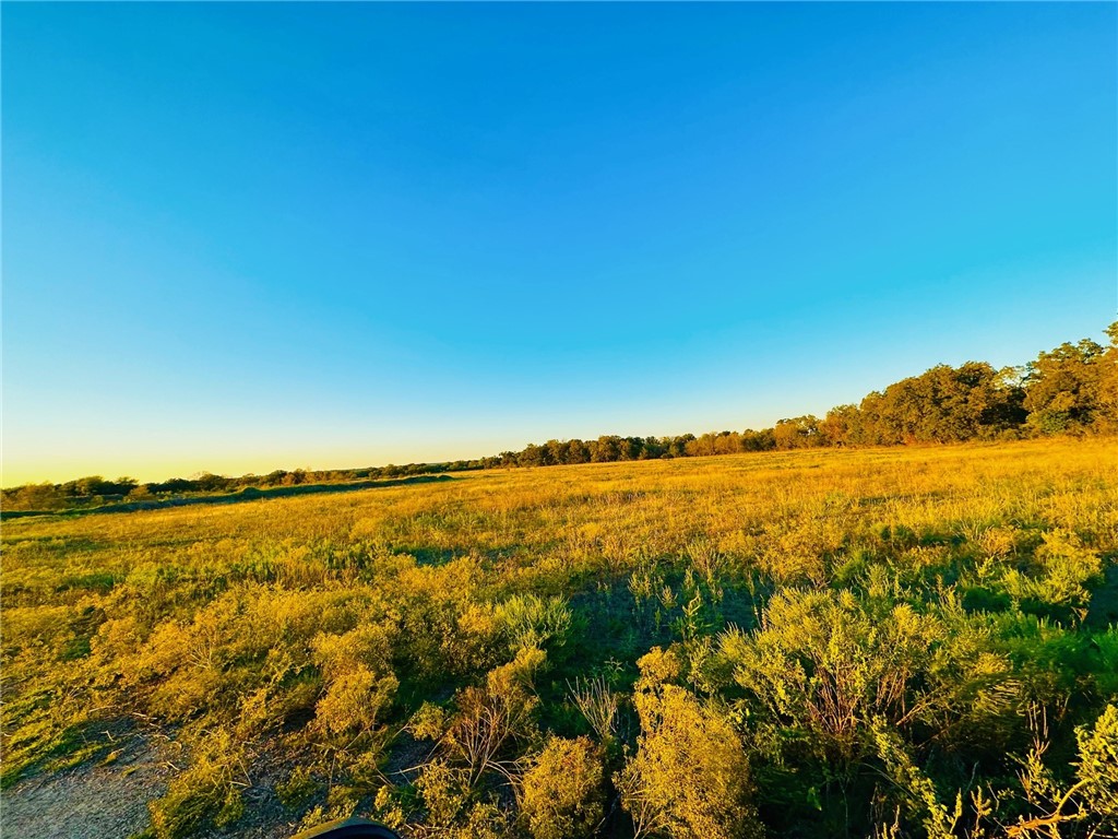 TBD Fm 931, Gatesville, Texas image 3