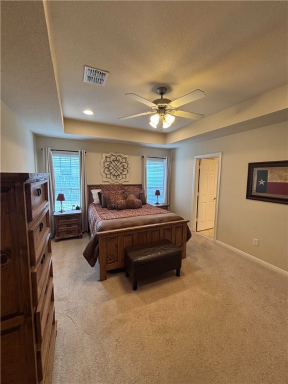 2905 Pueblo Drive, Waco, Texas image 14