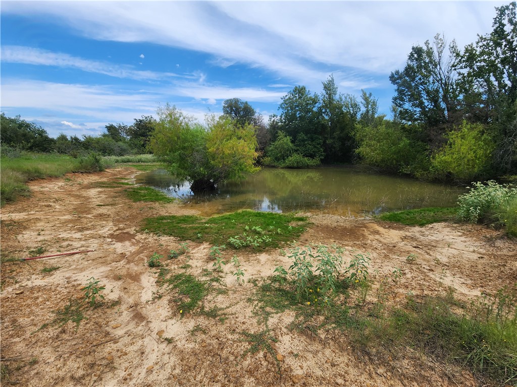 9119 Hwy 14 Highway, Kosse, Texas image 9