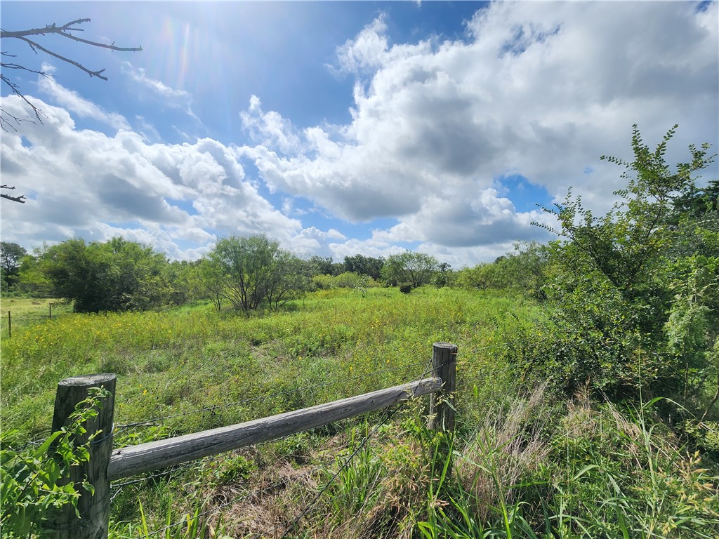 9119 Hwy 14 Highway, Kosse, Texas image 12