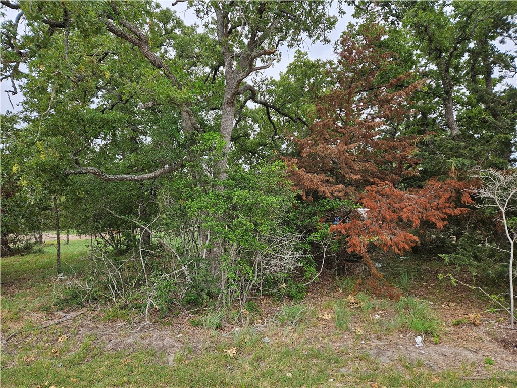 LOT 33 Apache Drive, Somerville, Texas image 8