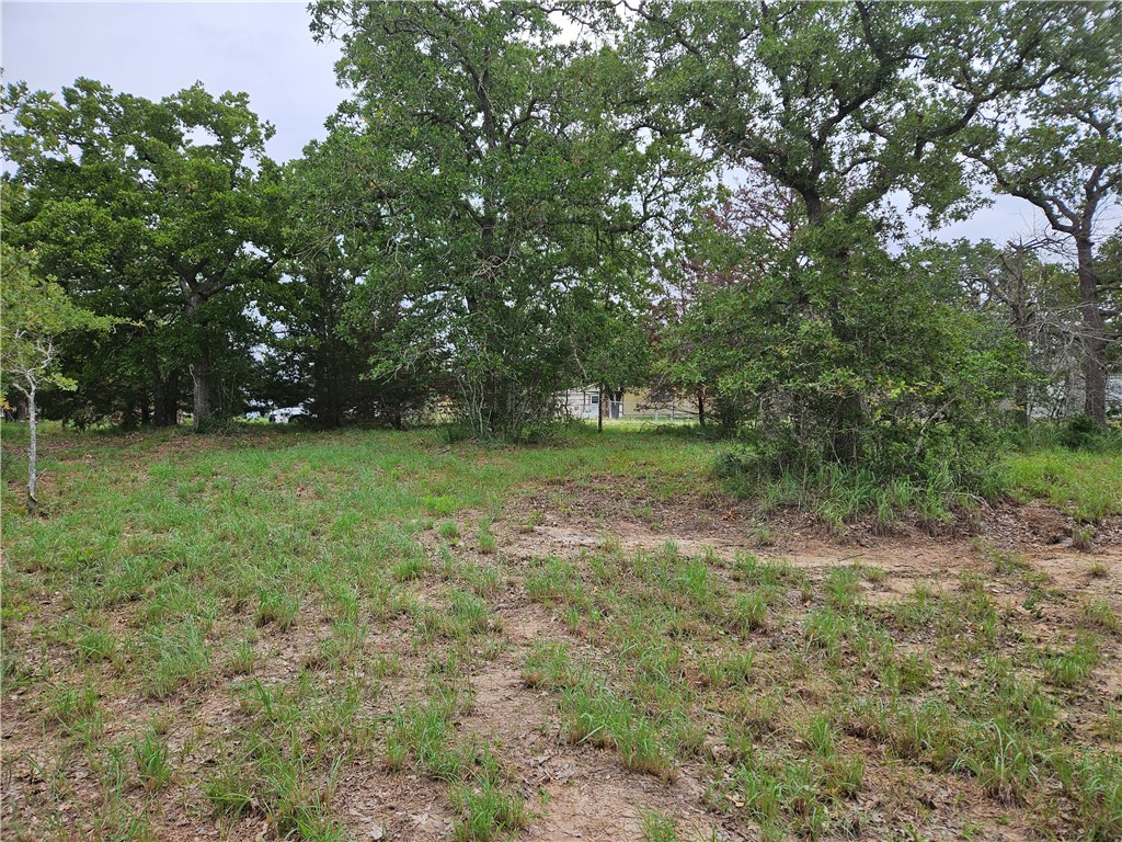 LOT 33 Apache Drive, Somerville, Texas image 2