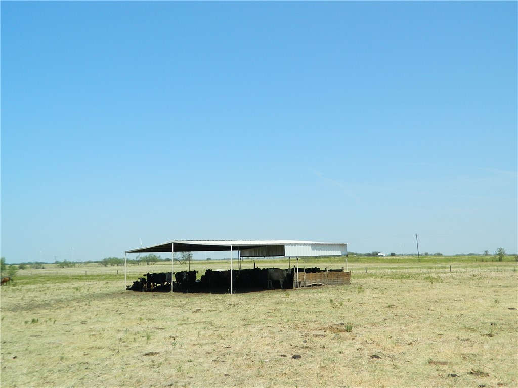 2669 Fm 2310 Highway, Coolidge, Texas image 35