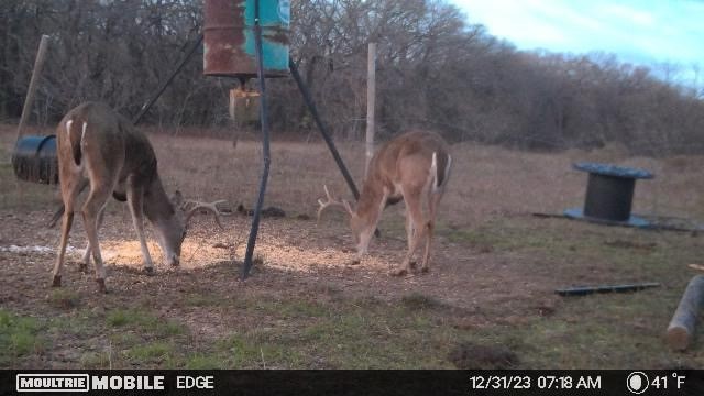 LCR 207 Lcr 207, Coolidge, Texas image 10