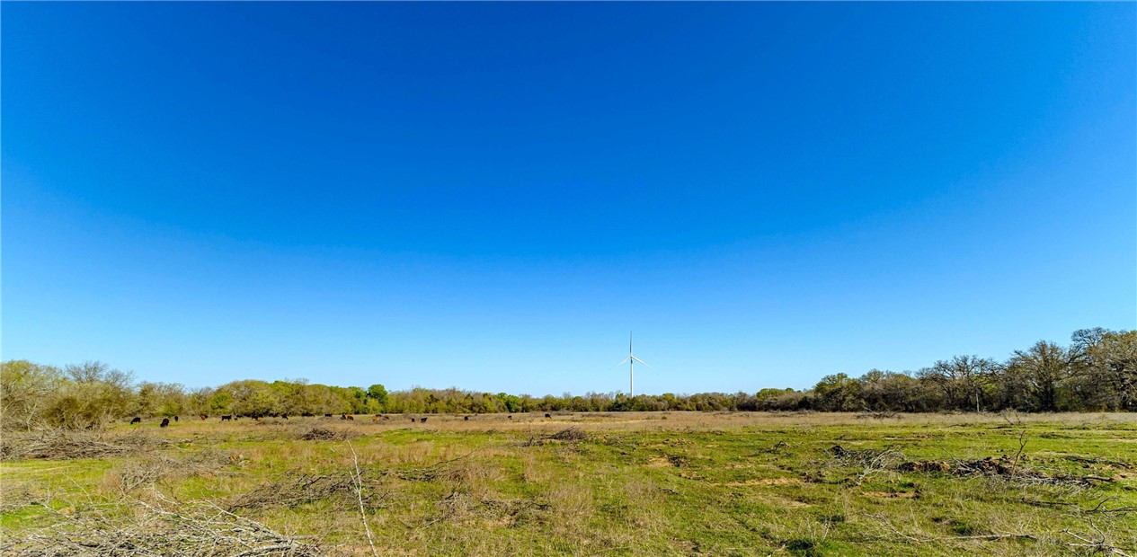 8932 Fm 339 Road, Mount Calm, Texas image 14