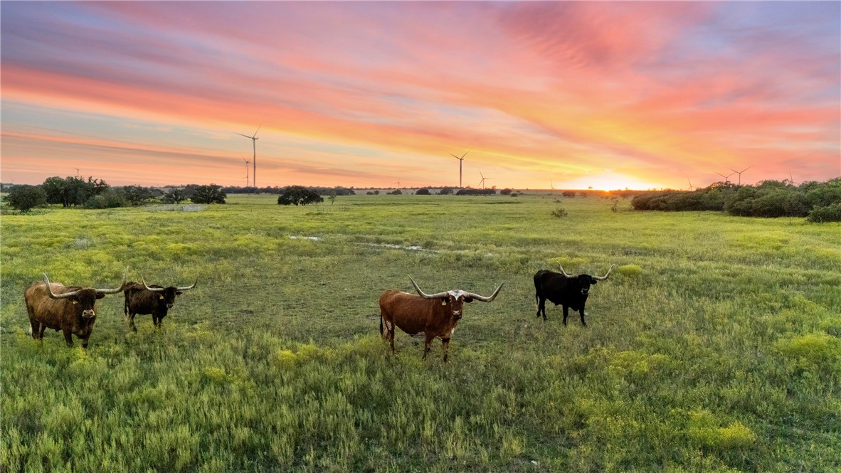 871 Fm 575, Goldthwaite, Texas image 33