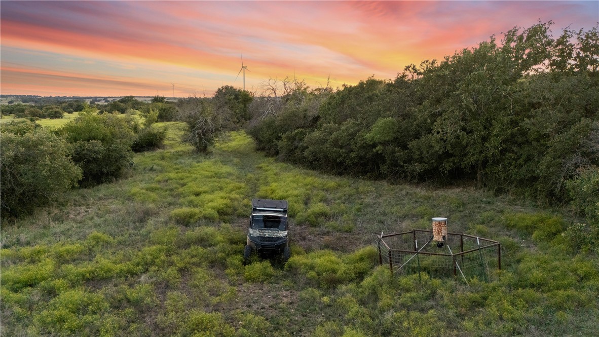 871 Fm 575, Goldthwaite, Texas image 15