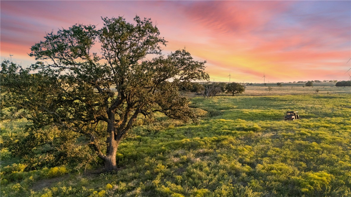 871 Fm 575, Goldthwaite, Texas image 11