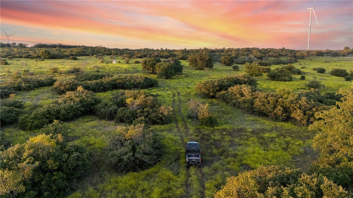 871 Fm 575, Goldthwaite, Texas image 21