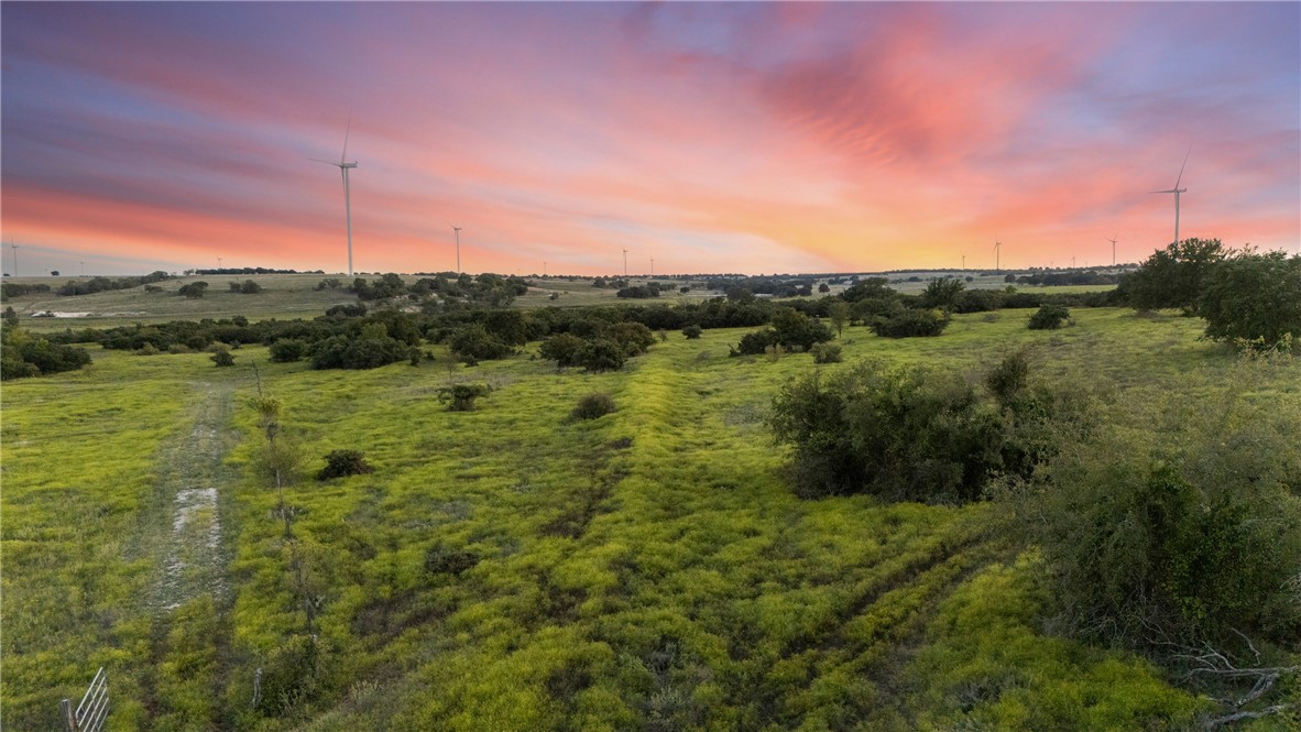 871 Fm 575, Goldthwaite, Texas image 16