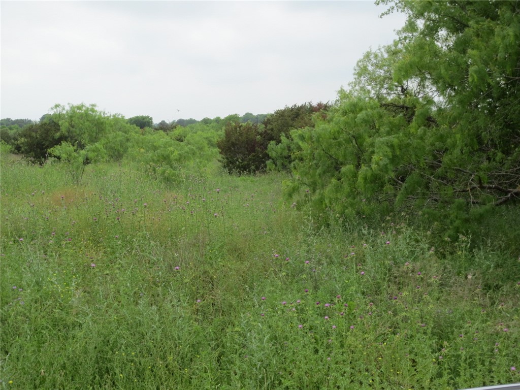 TBD Speegle Road, Woodway, Texas image 3