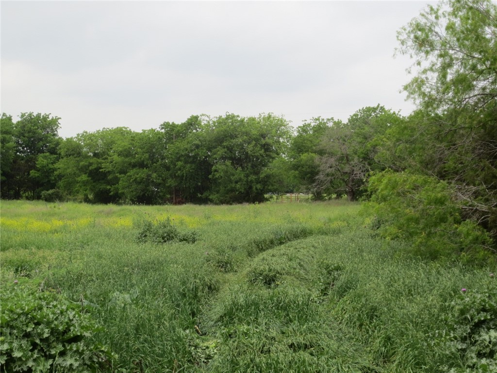 TBD Speegle Road, Woodway, Texas image 1