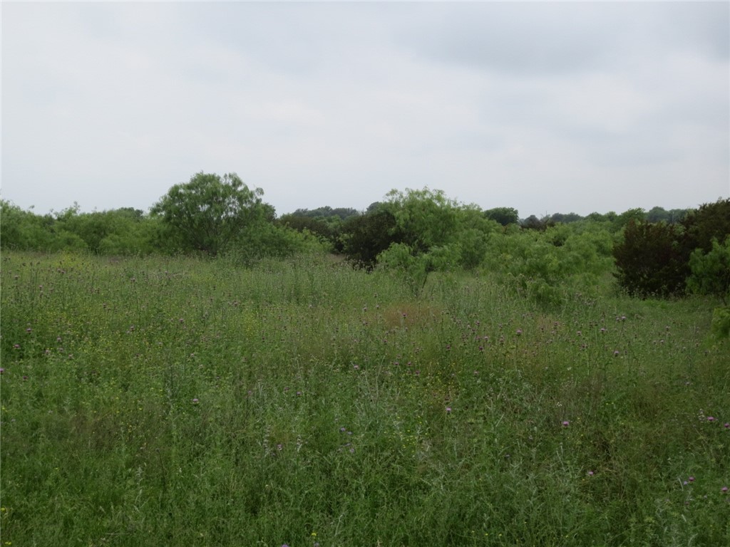 TBD Speegle Road, Woodway, Texas image 2