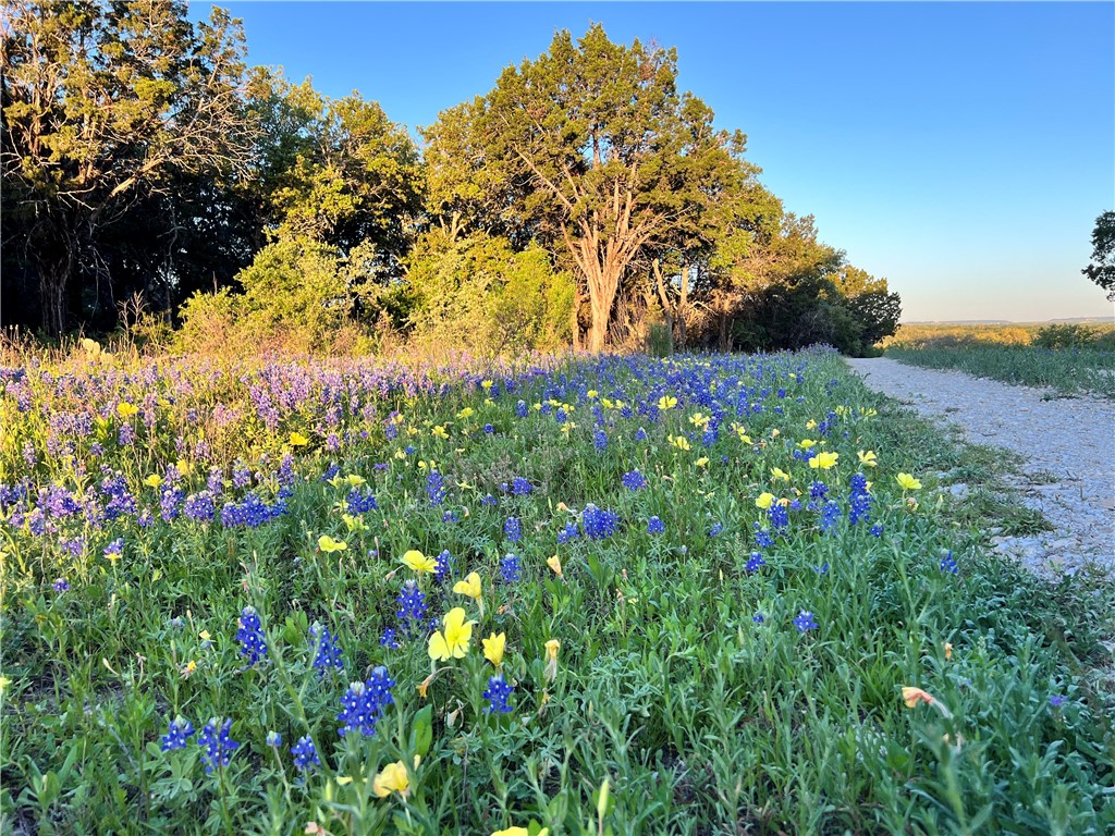 1817 Lutheran Church Road, Copperas Cove, Texas image 18