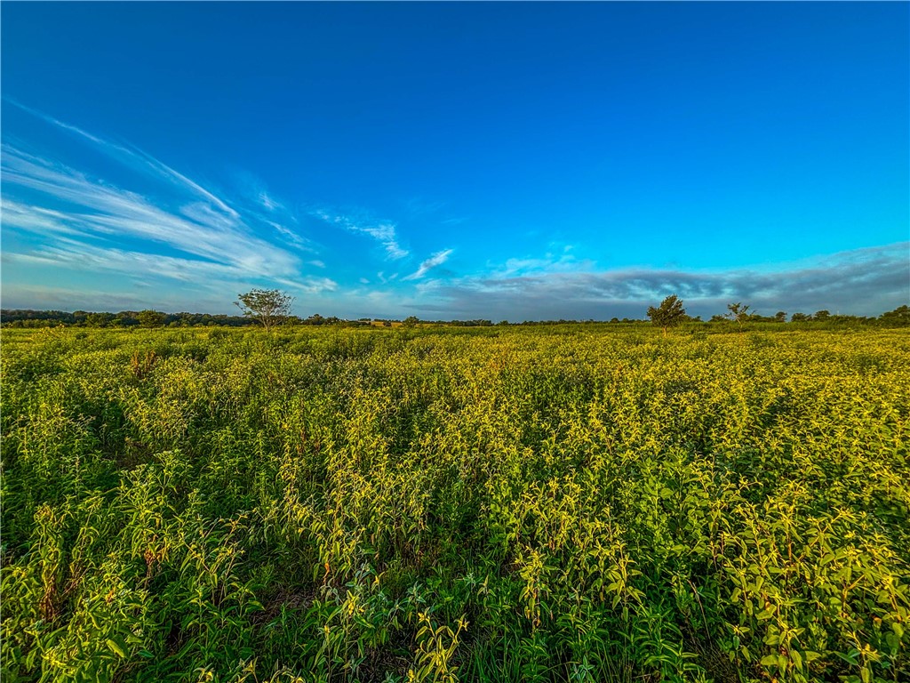 UNK Lcr 660 Road, Kosse, Texas image 14