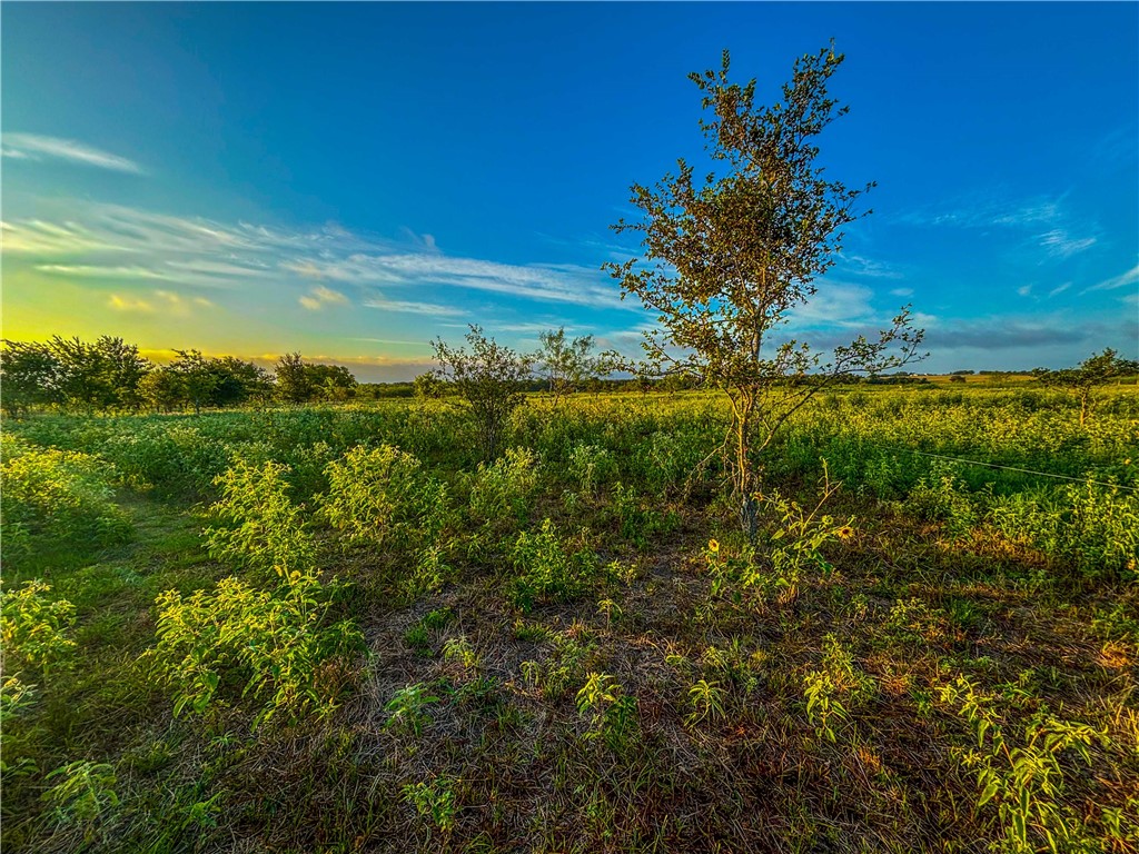 UNK Lcr 660 Road, Kosse, Texas image 12