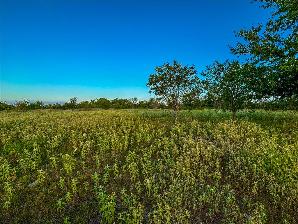 UNK Lcr 660 Road, Kosse, Texas image 9