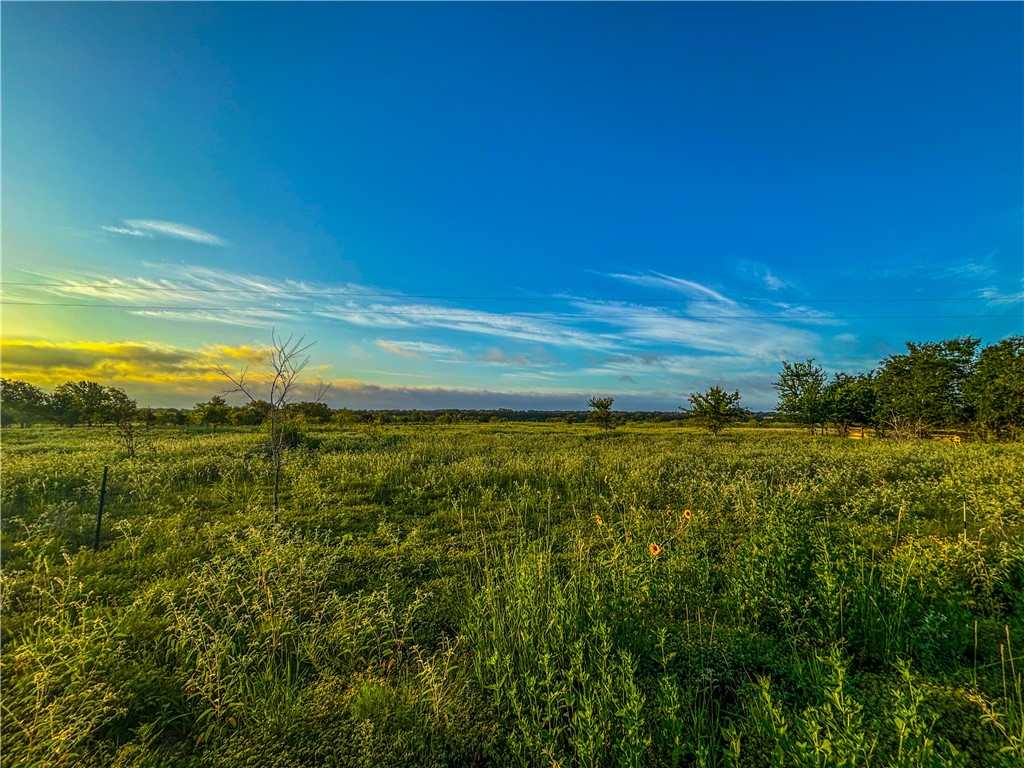 UNK Lcr 660 Road, Kosse, Texas image 11