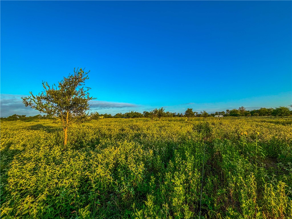 UNK Lcr 660 Road, Kosse, Texas image 15