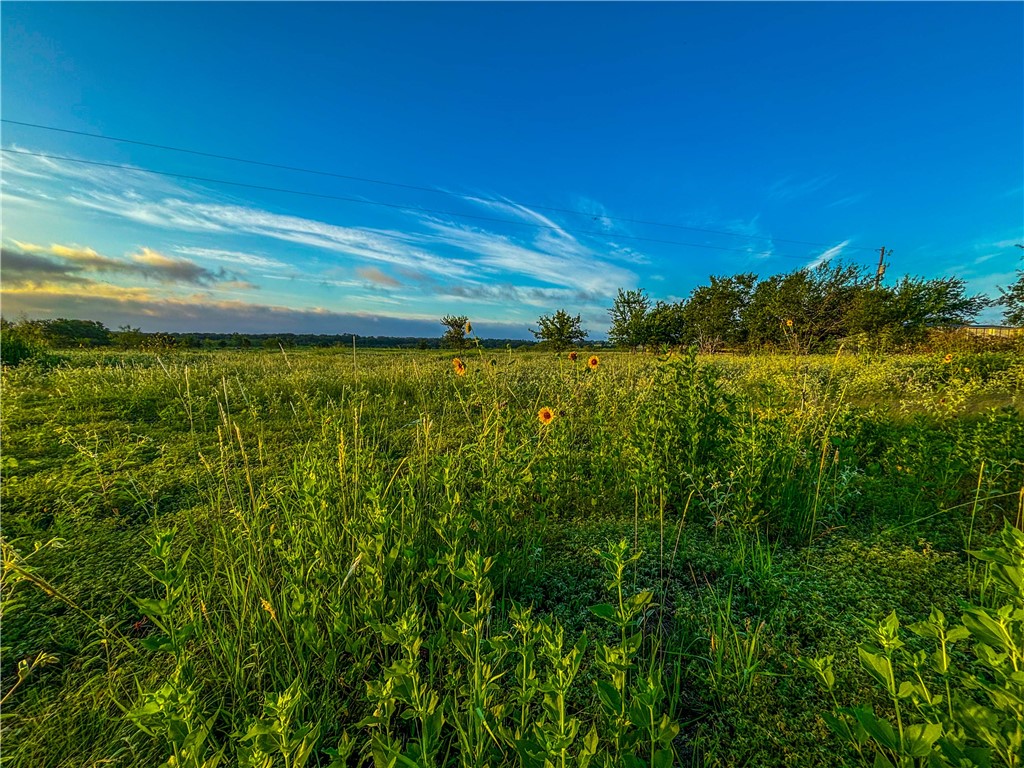 UNK Lcr 660 Road, Kosse, Texas image 10