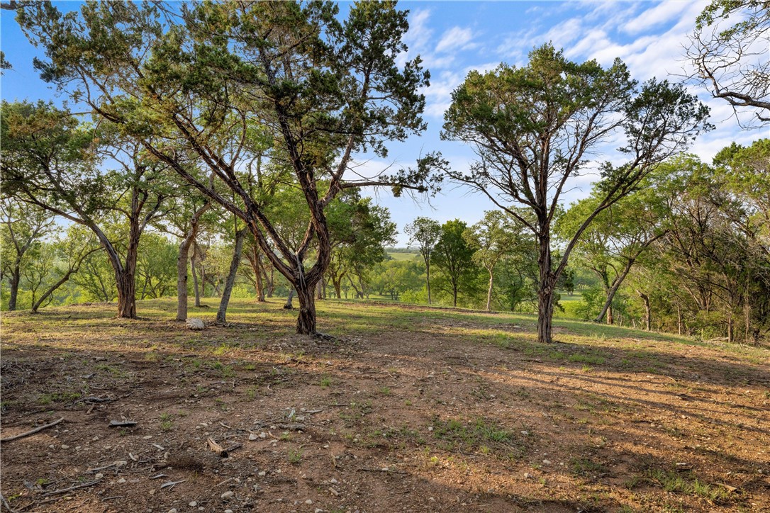 Lot 20 Riverside Drive, Aquilla, Texas image 7