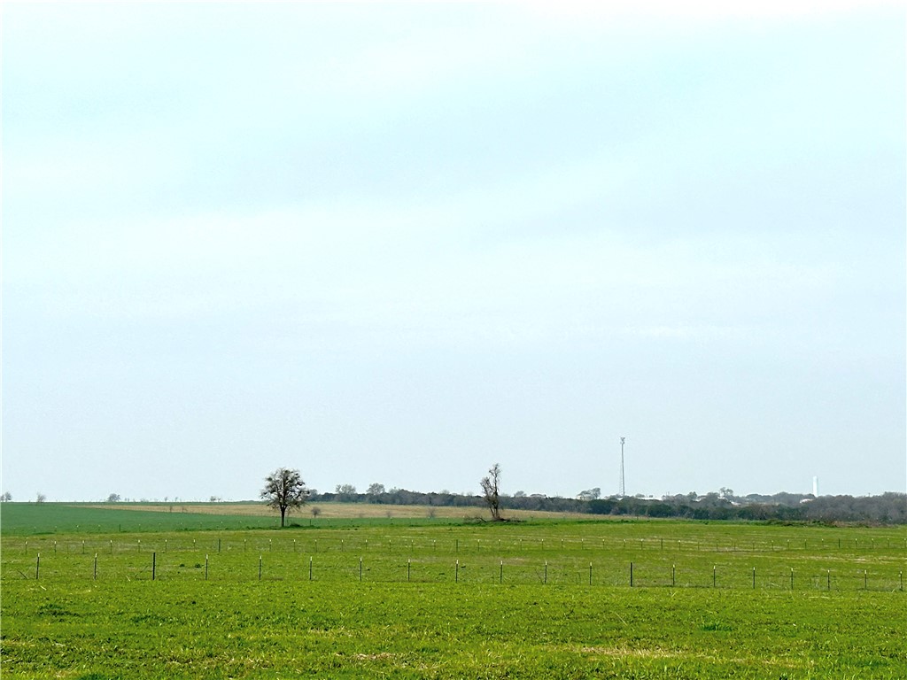 Sunset Ranch Tract 11 Cr 356 Road, Gatesville, Texas image 4