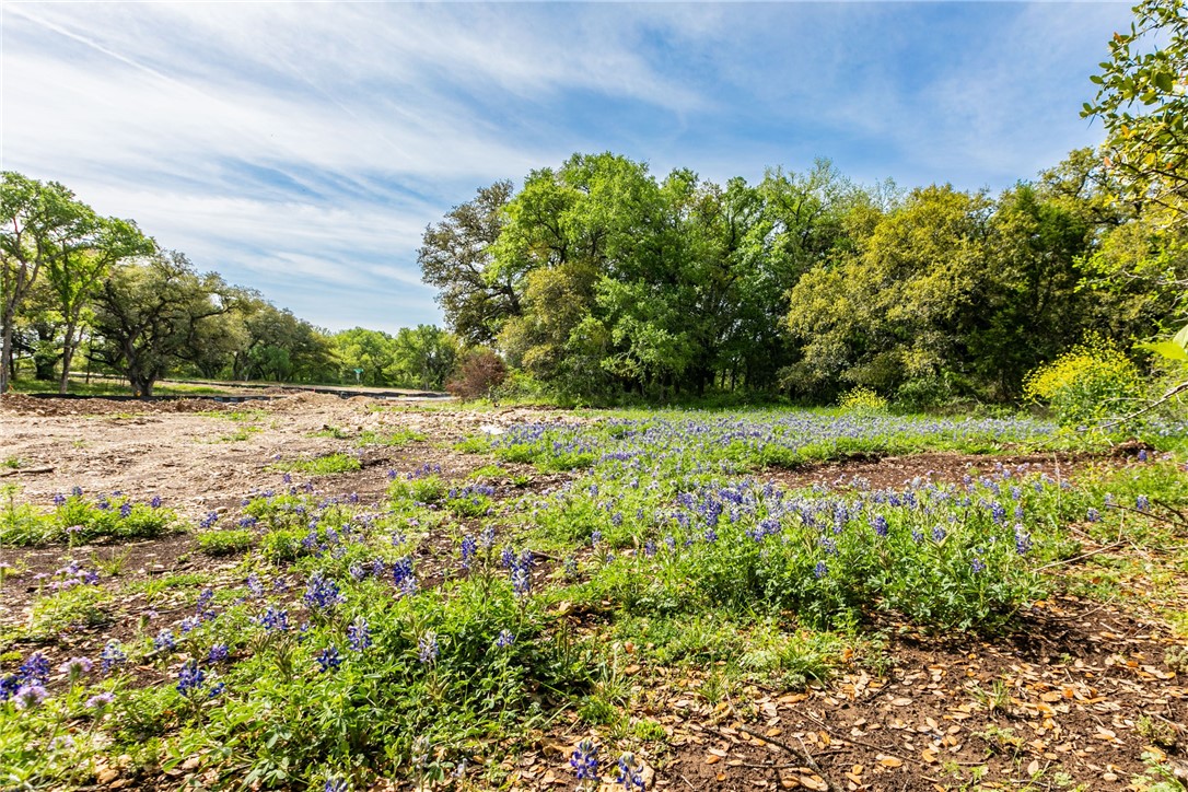 1000 E Calhoun Avenue, Waco, Texas image 2