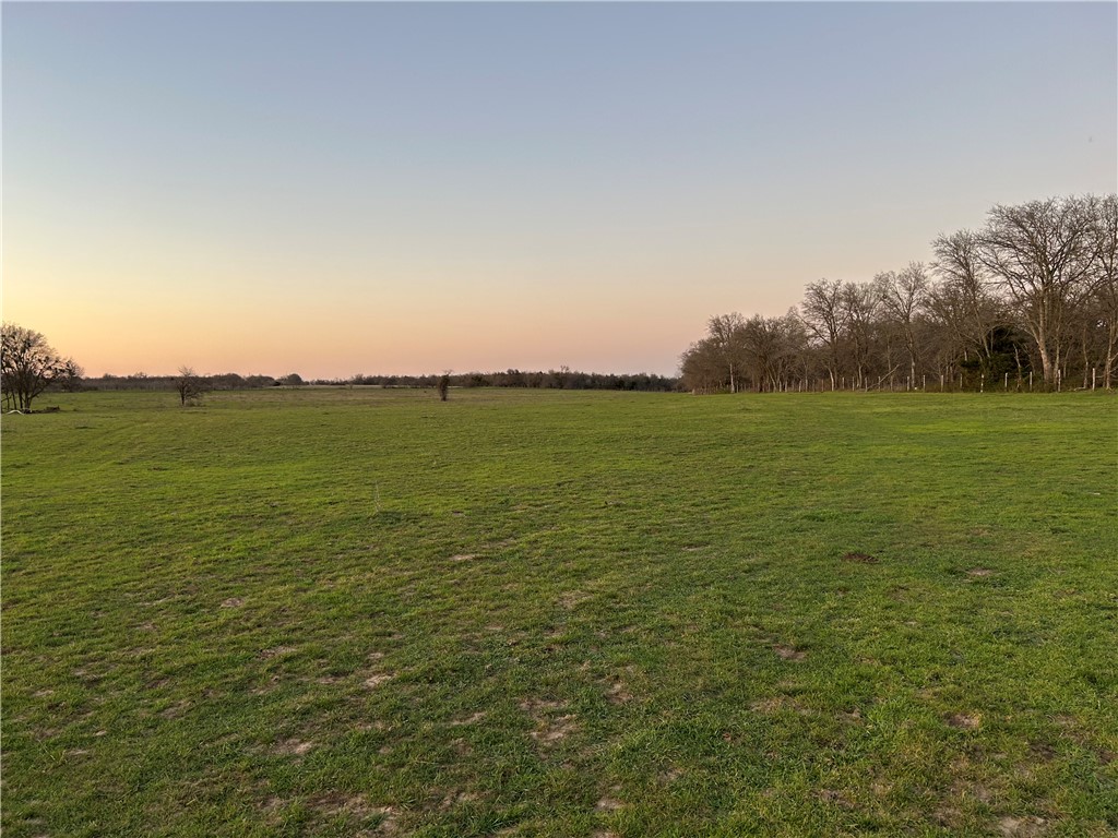 TBD State Hwy 14, Thornton, Texas image 1