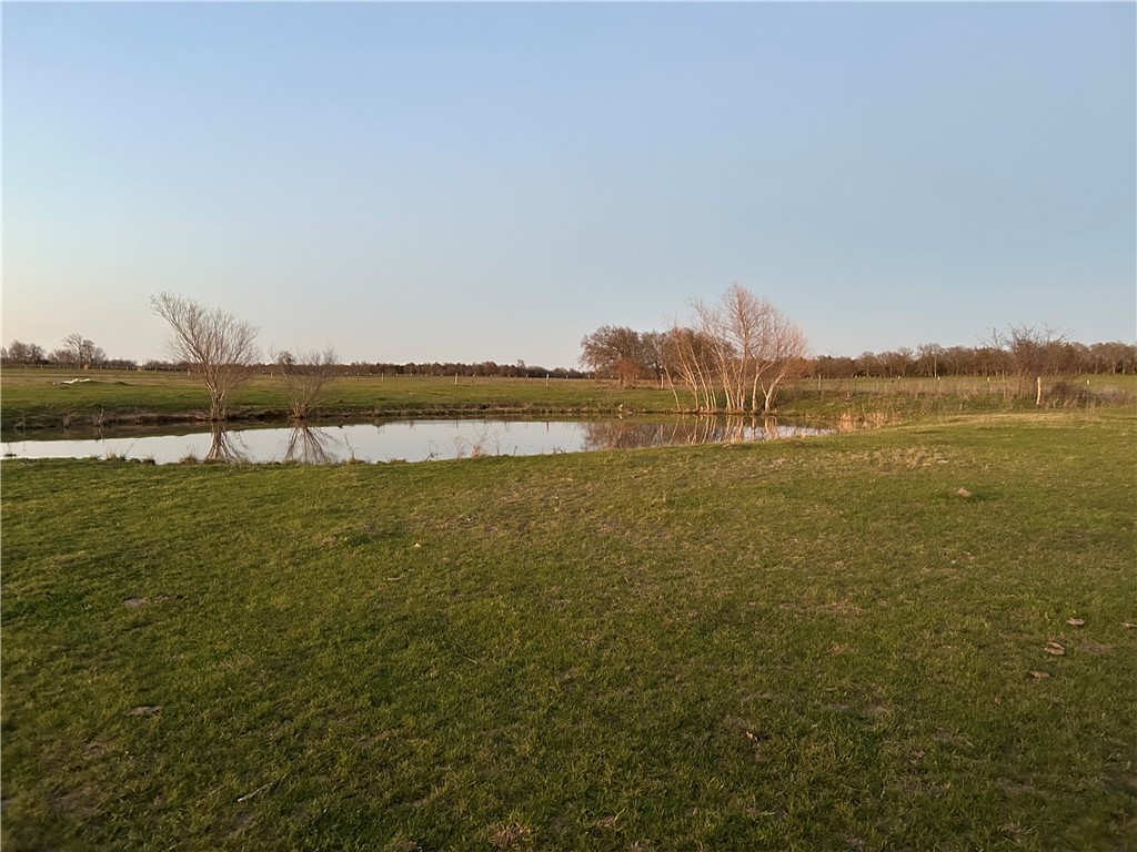 TBD State Hwy 14, Thornton, Texas image 9