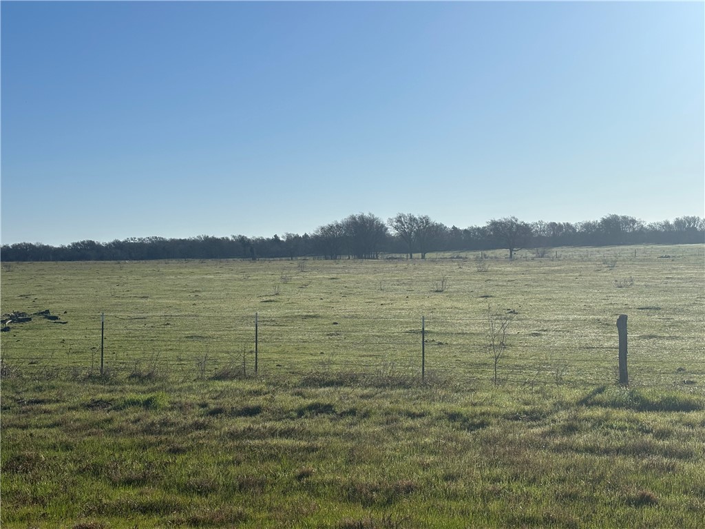 TBD State Hwy 14, Thornton, Texas image 10