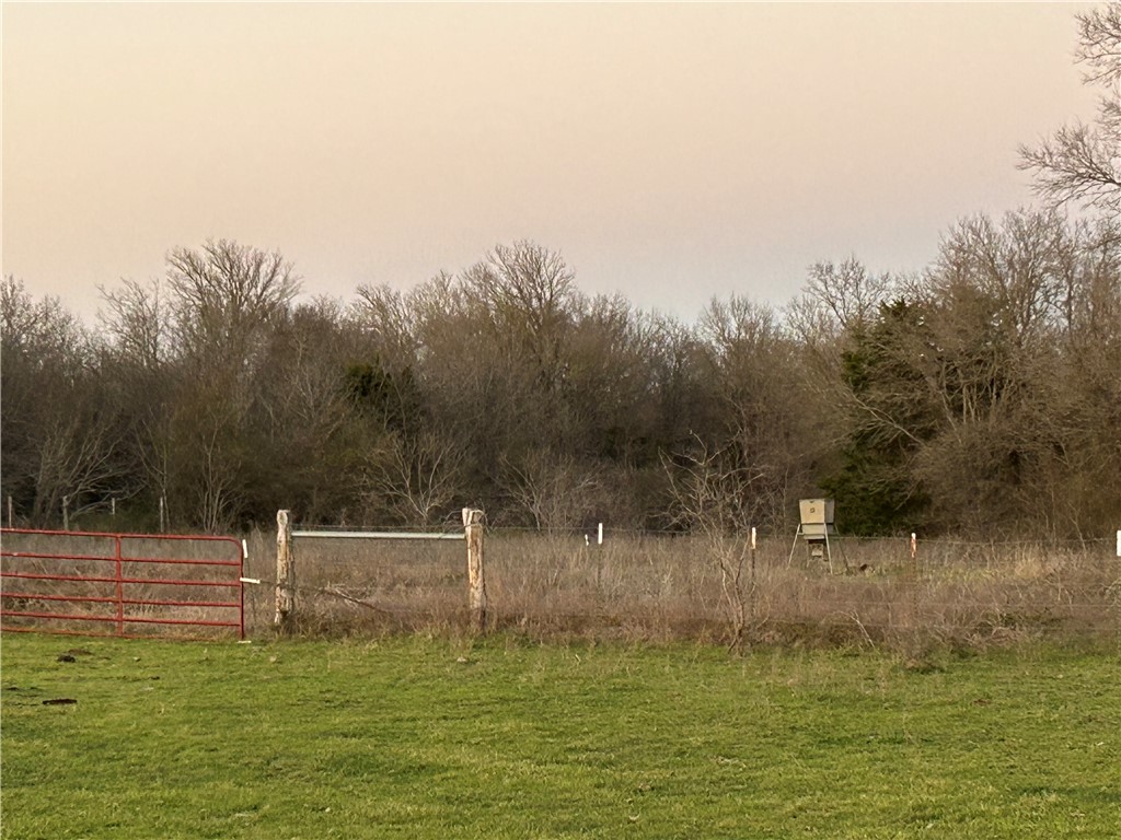 TBD State Hwy 14, Thornton, Texas image 7