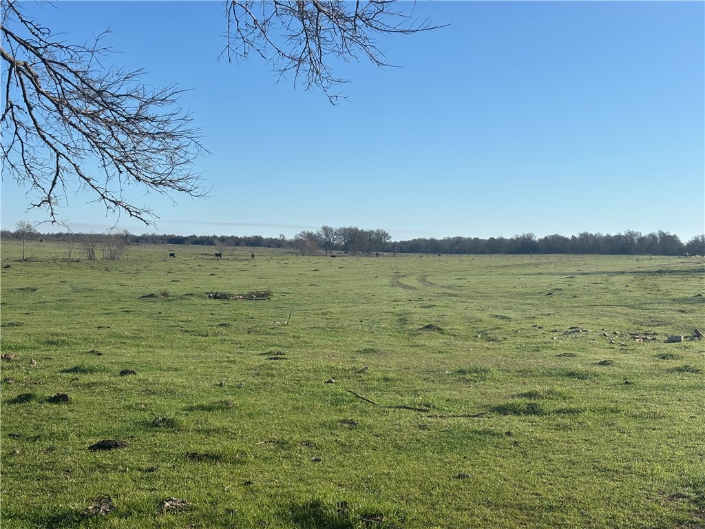 TBD State Hwy 14, Thornton, Texas image 6