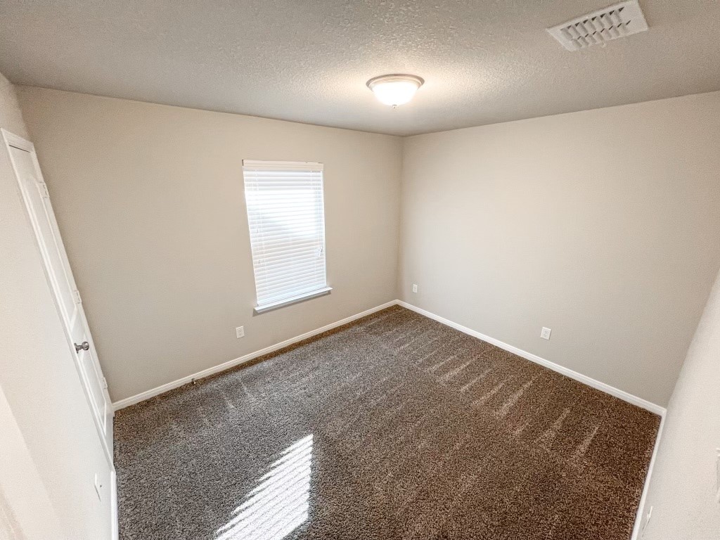 2917 Gilchrist Drive, Lorena, Texas image 15