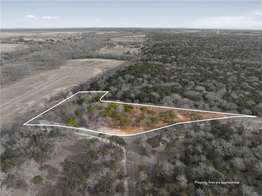 Lot 15 Riverside Drive, Aquilla, Texas image 2