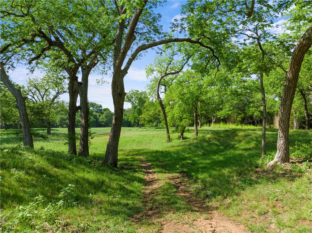 Lot 15 Riverside Drive, Aquilla, Texas image 5